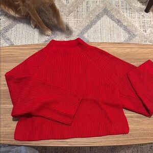 Olivaceous Vibrant Red Turtleneck Sweater
